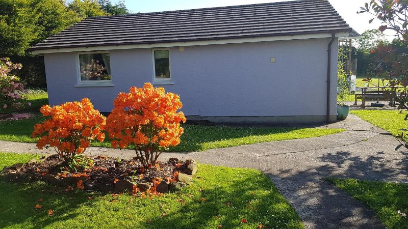 Walnut Bungalow image 2