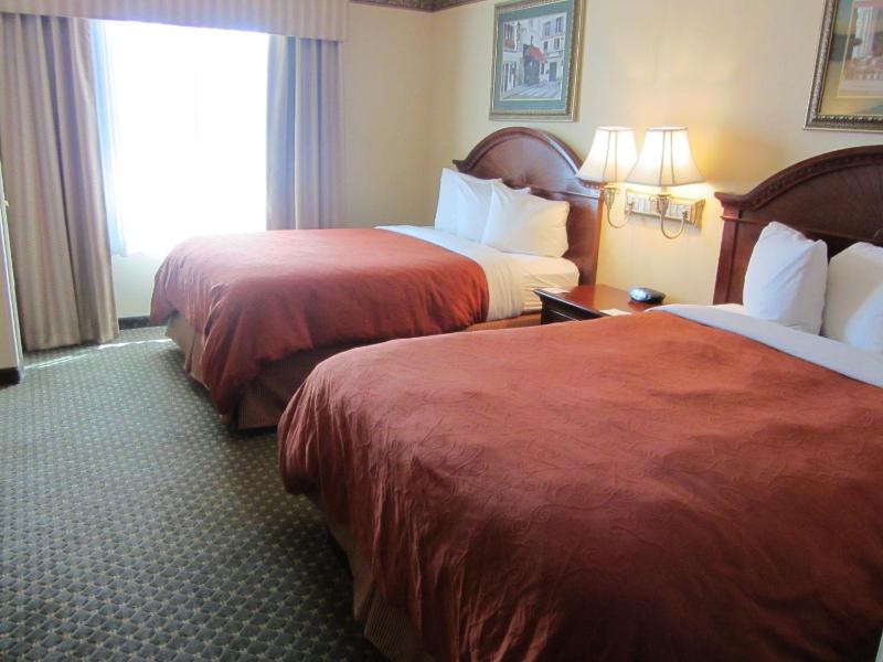 One-Bedroom Queen Suite with Sofa Bed - Non-Smoking image 3