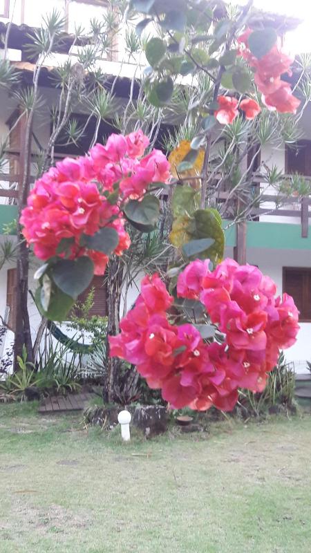 Pousada Girassol - image 19