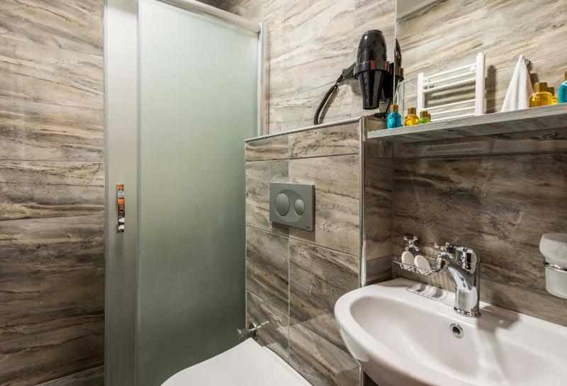 One-Bedroom Apartment image 2