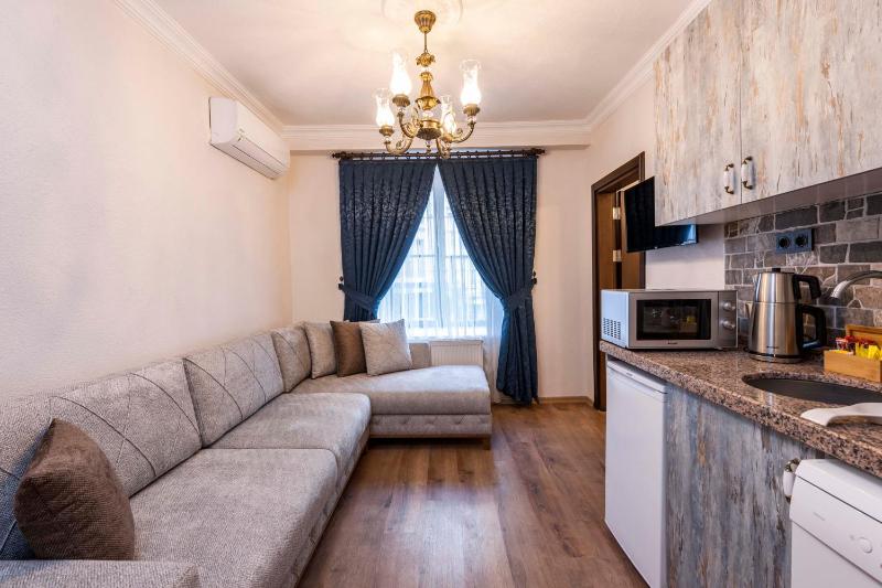 One-Bedroom Apartment image 4