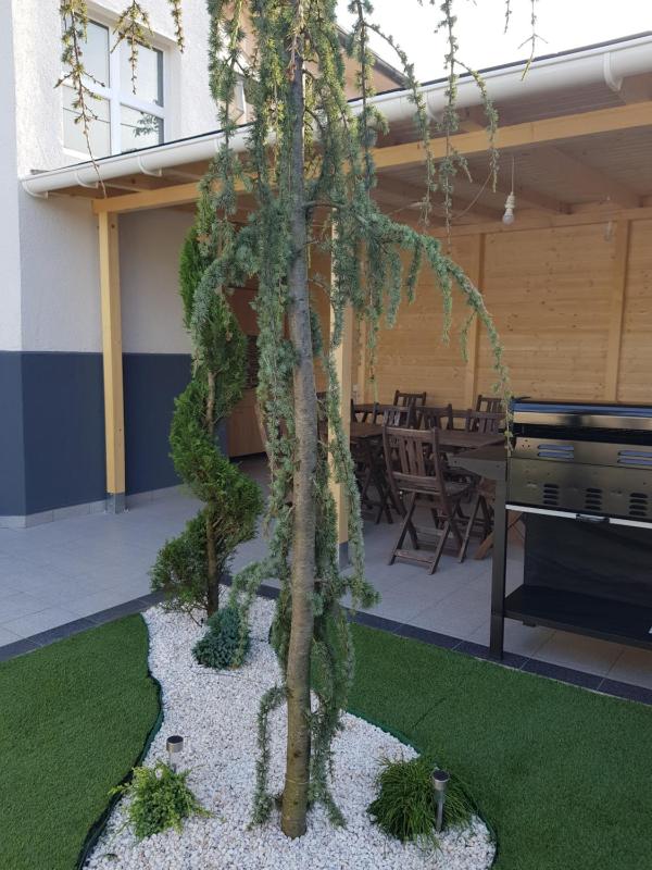 Vila Yly - image 15