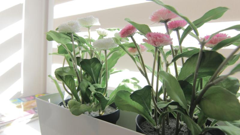 Apartament Tygrys - image 9