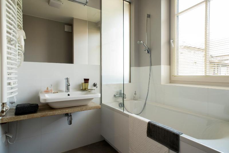One-Bedroom Apartment image 4
