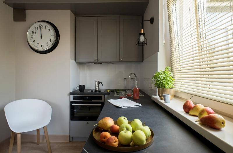 One-Bedroom Apartment image 3