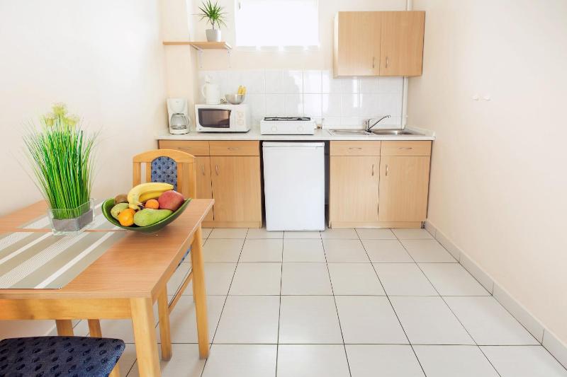 Studio with Terrace image 4
