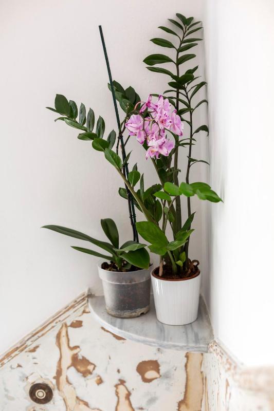 Delightful 2 BEDR-2 BATH Apt with Access to Rooftop Garden - EP9U - image 6