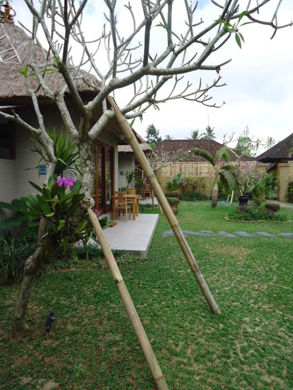 Suka's House Bed & Breakfast - image 12