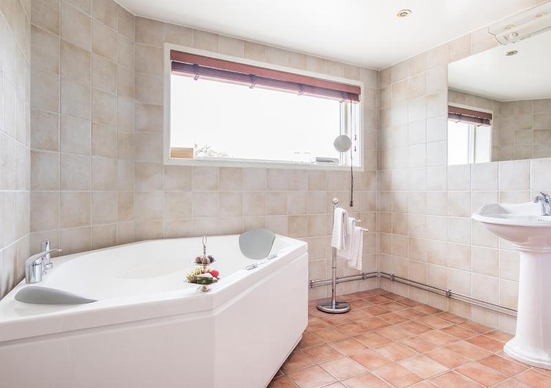 Deluxe Suite with Bath image 3