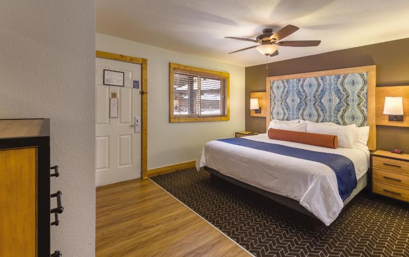 One-Bedroom Apartment image 3