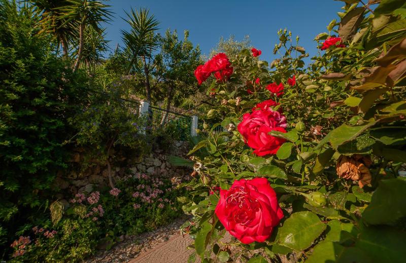 B&B Sopra il Borgo - image 26
