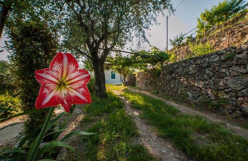 B&B Sopra il Borgo - image 37