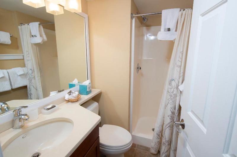 Two-Bedroom Apartment image 4