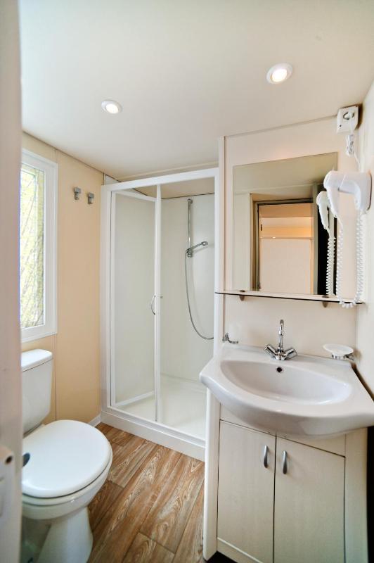 Mobile Home image 3