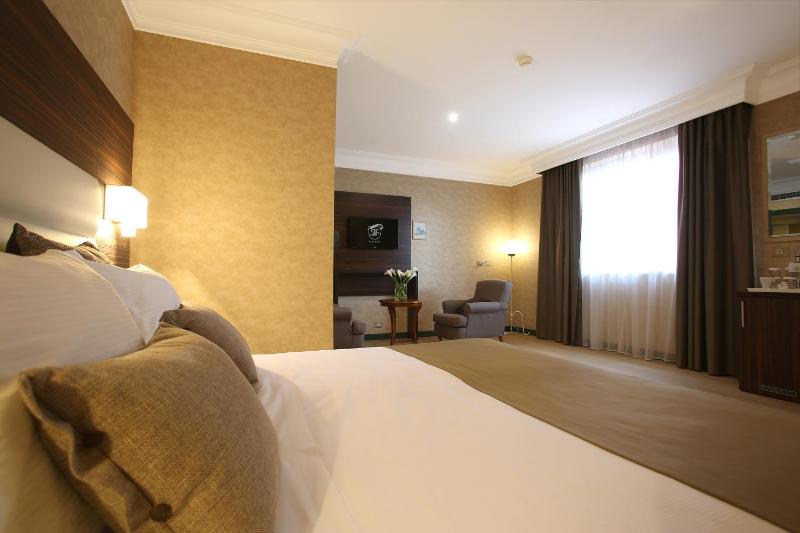 Deluxe Suite image 4