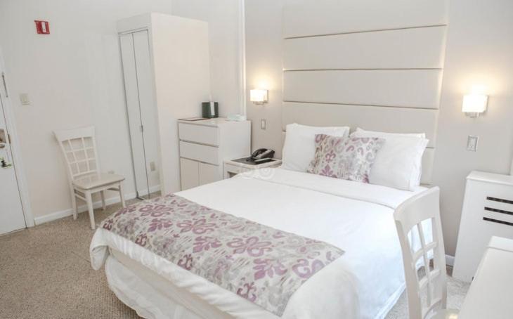 Da Vinci Hotel - image 4