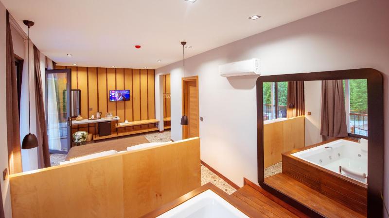 Deluxe Room with Spa Bath - Pool View image 1