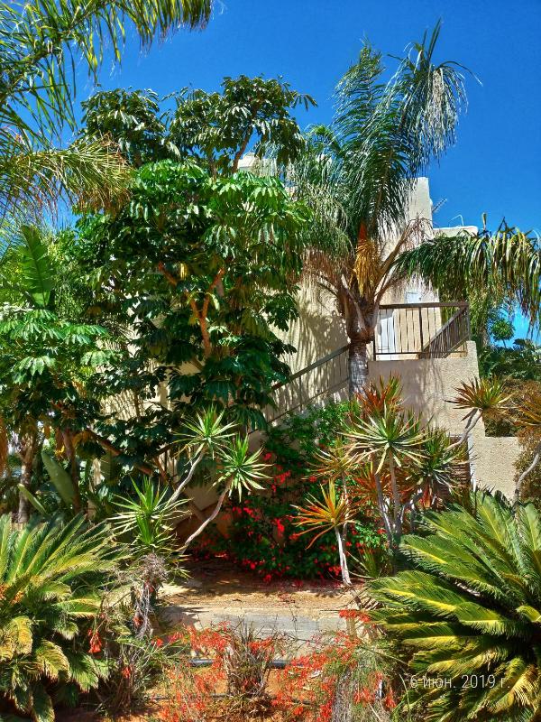 Constantaras Apartments - image 5