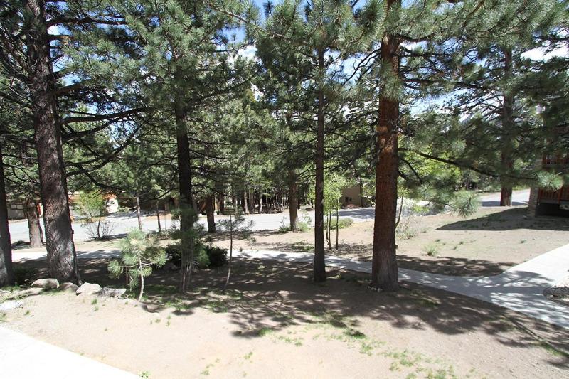 Summit 49 Apartment - image 27