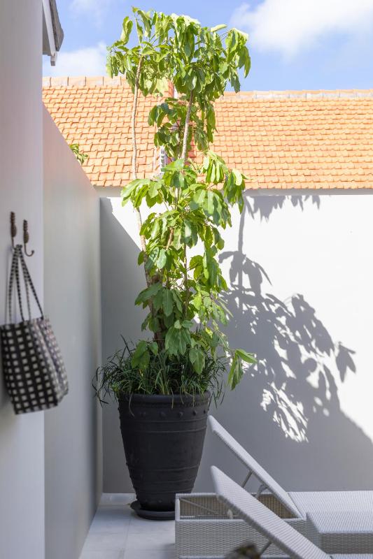 Villa Chikka - image 11