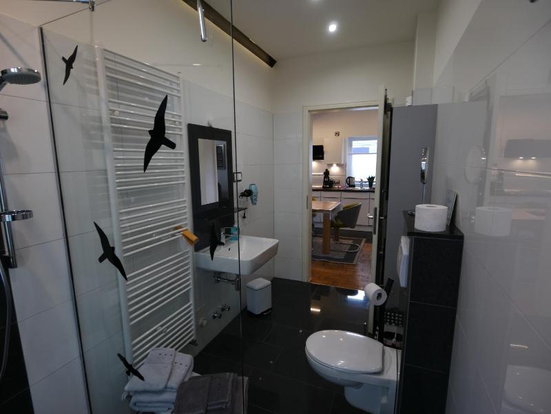Deluxe Apartment image 3