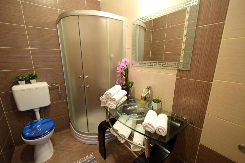 One-Bedroom Apartment image 3