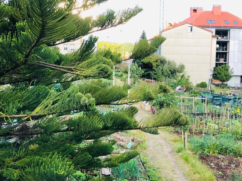 Bunk Bed in Mixed Dormitory Room image 2