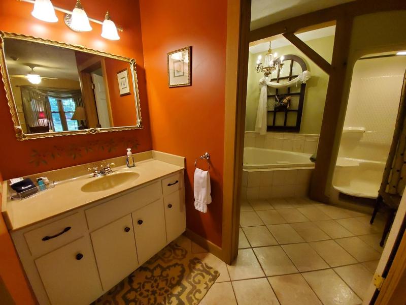 Deluxe King Suite with Patio image 3