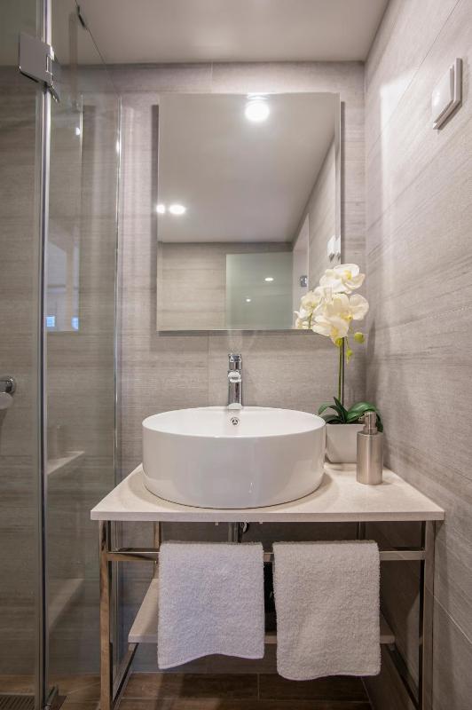 Standard Triple Studio image 3