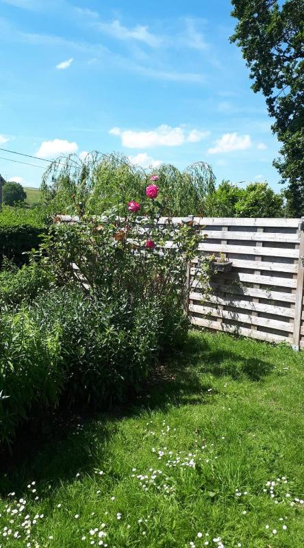 Chambre Double avec Kitchenette  image 4