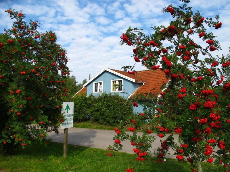 Müritzparadies - image 25