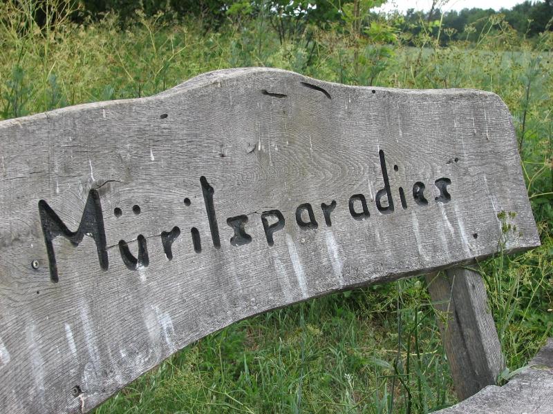 Müritzparadies - image 40