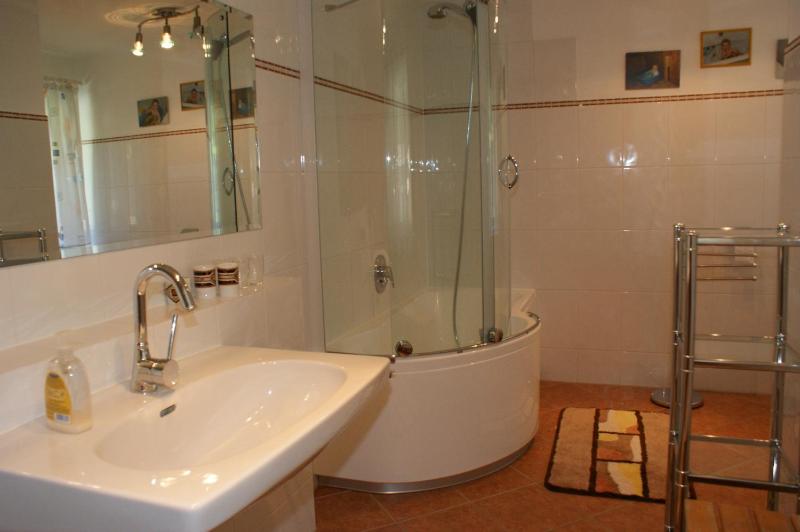 Apartment with Terrace image 1