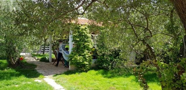 One-Bedroom Apartment image 3