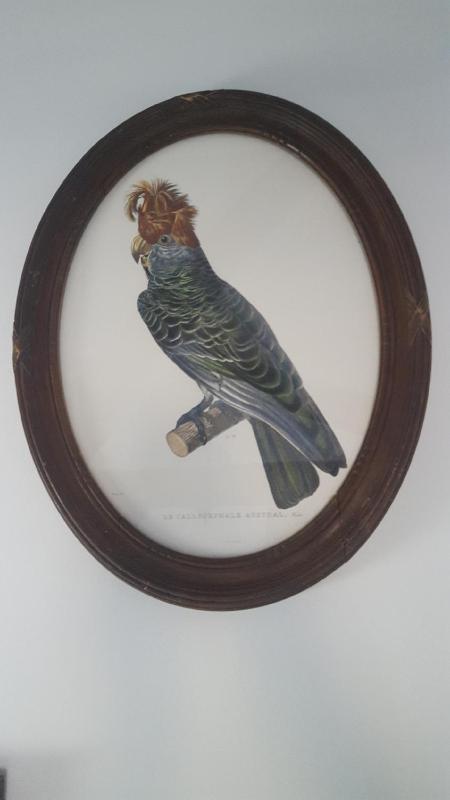 Superior Double or Twin Room image 4