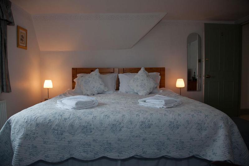 Deluxe King Room image 1