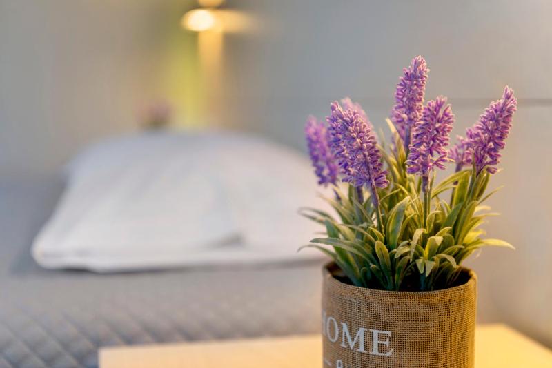 Double or Twin Room image 3