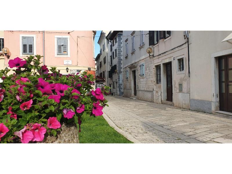 Eufrasiana Apartments - image 1