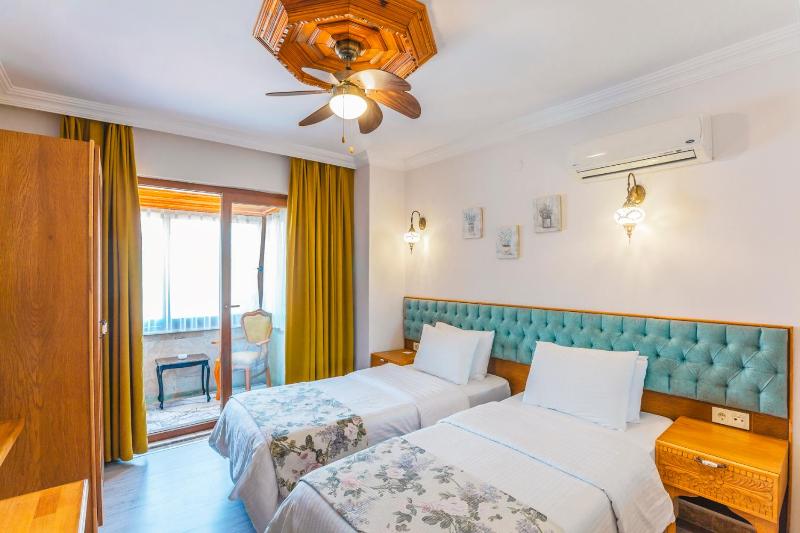 Deluxe Double or Twin Room with Mountain View image 4