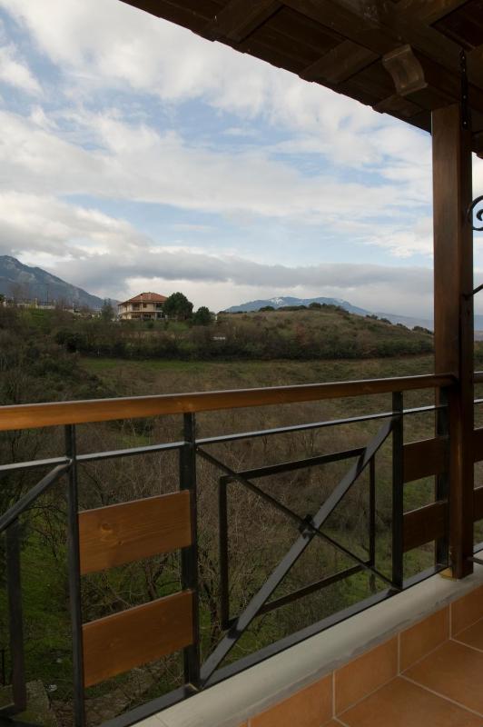 Double or Twin Room with Mountain View image 2