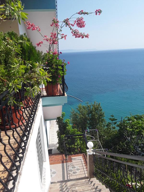 Odhisea Hotel Restaurant - image 9