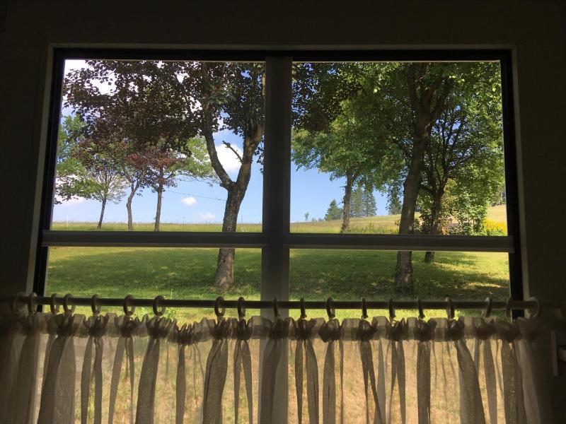 Quadruple Room with Garden View image 2