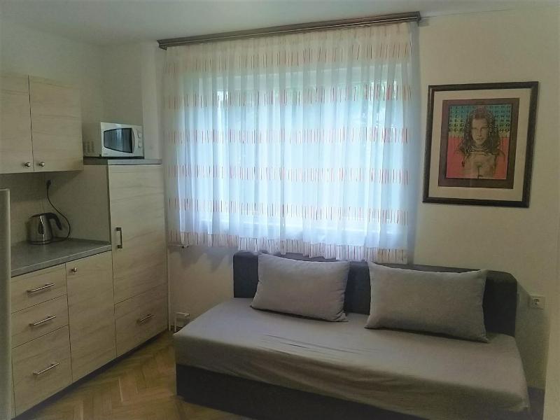 One-Bedroom Apartment image 3