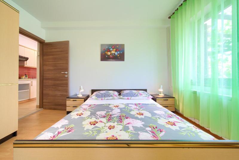 Apartman Sokolovski - image 20