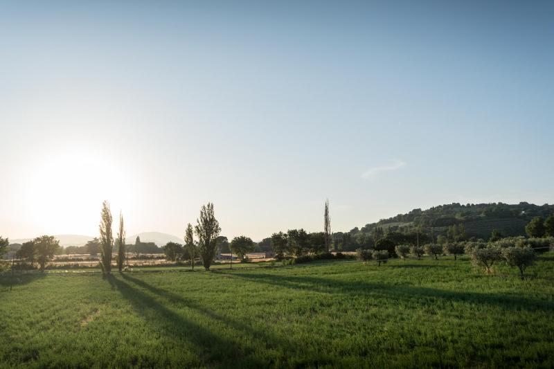 Bed & Breakfast Al Pian d'Assisi - image 28