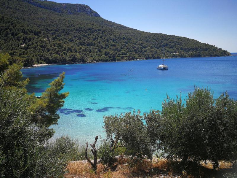 Three-Bedroom Apartment image 4
