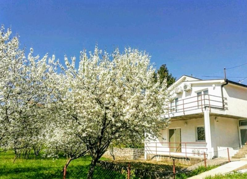 Apartment with Garden View image 1