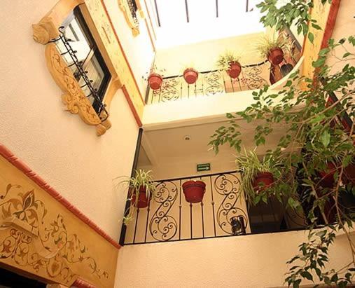 Hotel Calenda - image 6