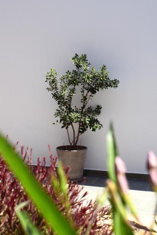 Triple Room with Garden View image 3