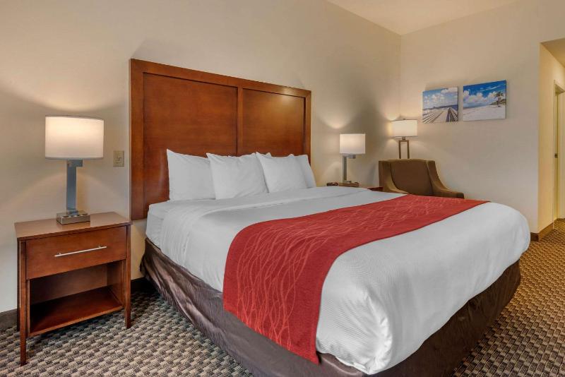 Standard King Room image 4